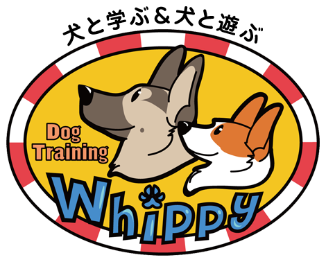 ドッグトレーニングWhippy（ウィッピー）