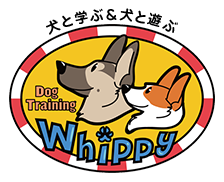 ドッグトレーニングWhippy（ウィッピー）